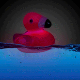 LED Pink Flamingos